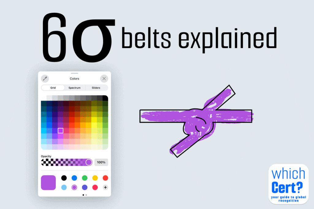 Lean six sigma belts explained