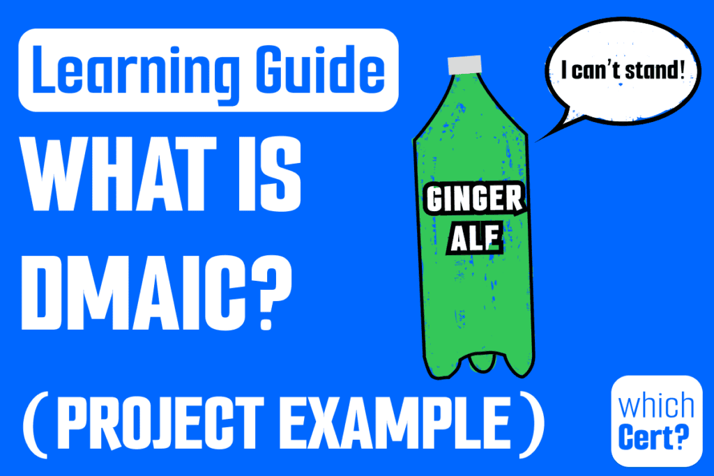 what does dmaic stand for